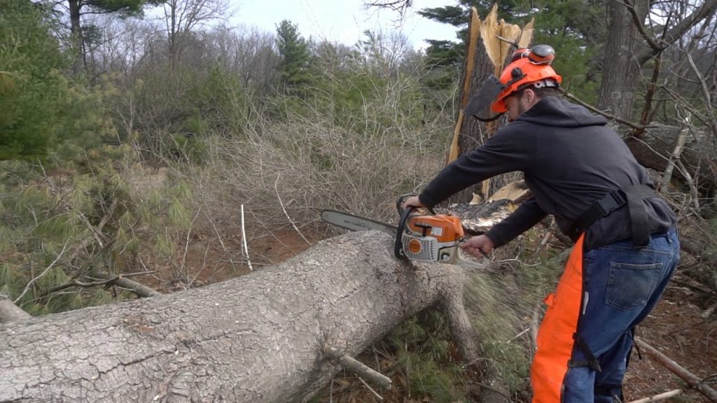 this-is-what-its-like-homesteading-how-many-projects-can-we-handle